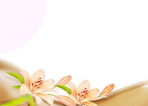 新概念母婴护理 重塑家政服务，打造专业月嫂与陪护新标杆